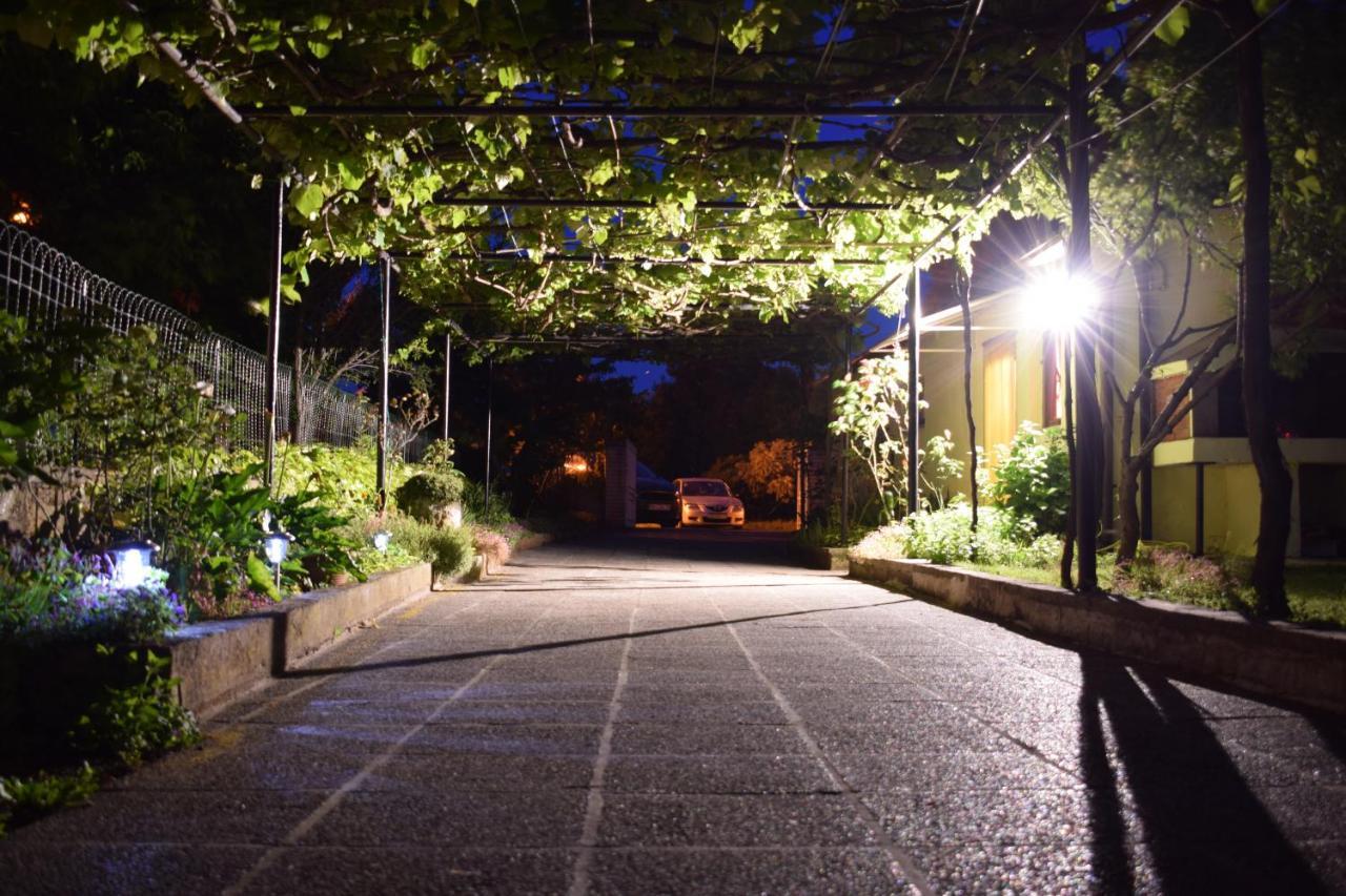 Holiday House Danica بنجول المظهر الخارجي الصورة